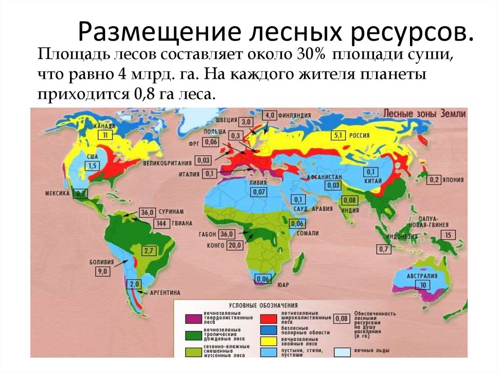 Страны имеющие лесные ресурсы