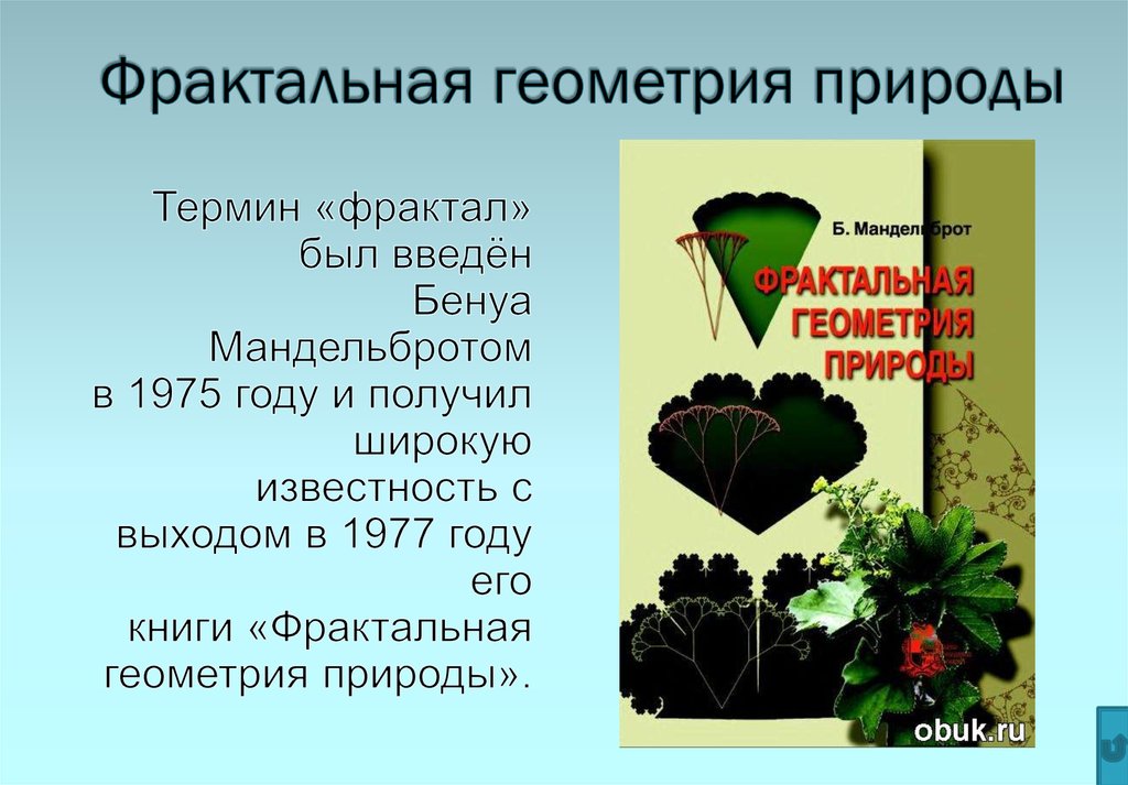 Геометрия в природе презентация