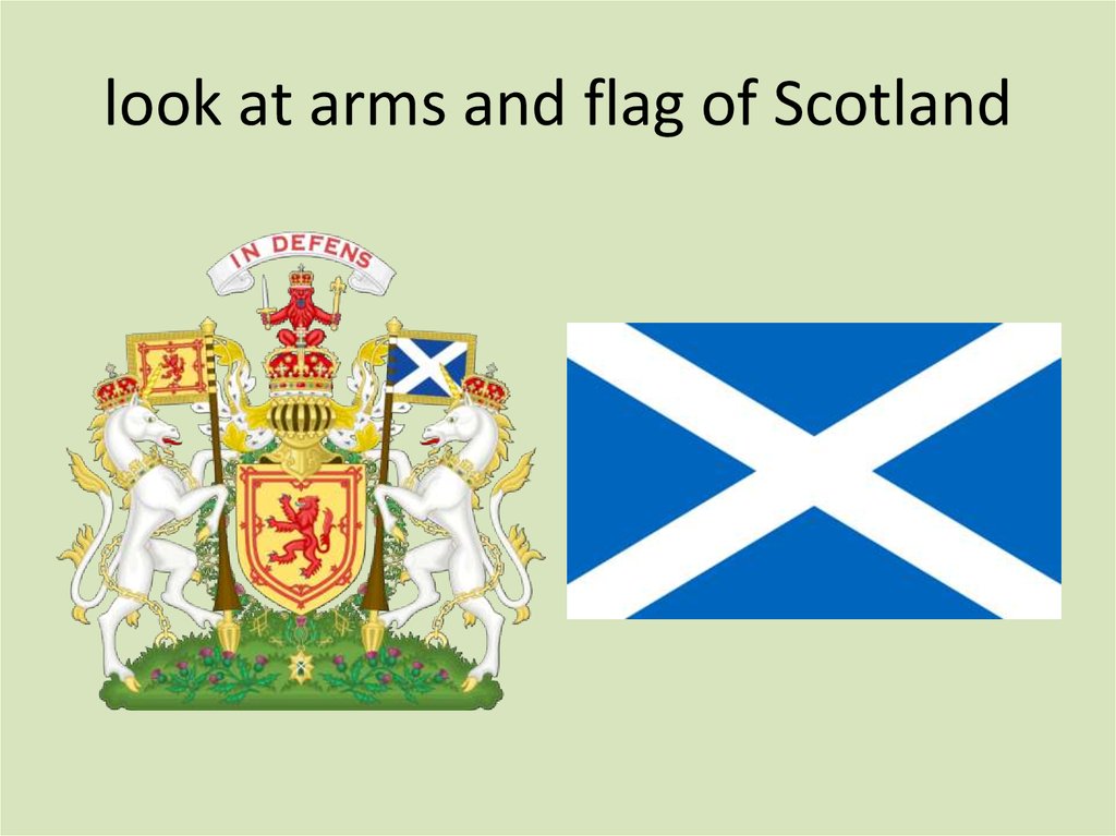 look at arms and flag of Scotland
