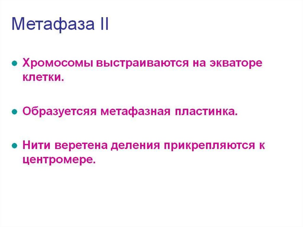 Хромосомы выстраиваются по экватору. На экваторе клетки выстраиваются хромосомы. Хромосомы выстраиваются в метафазную пластинку.