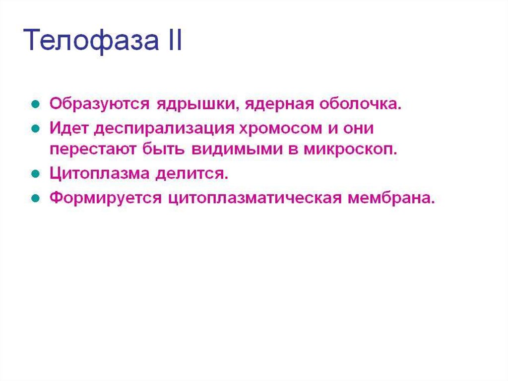 Появляться л. Деспирализация. Деспирализация хромосом. Деспирализации. Деспирализация 10 лет.