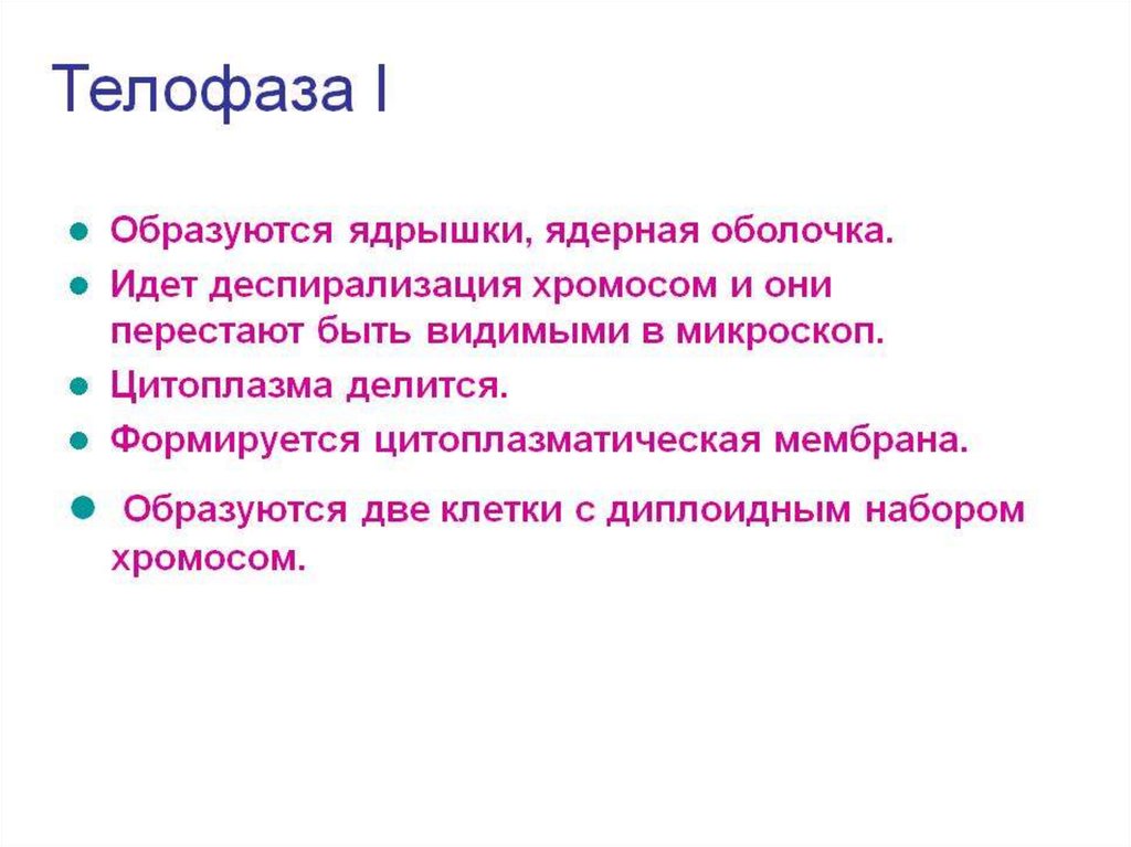 Деспирализация хромосом. Деспирализация хромомосом. Деспирализация хромосом фаза. Диспрелизациия хросмосом в.