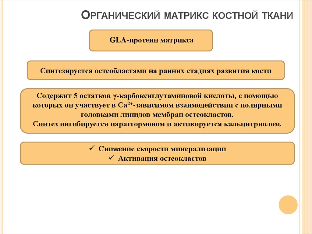 Биохимия костной ткани презентация