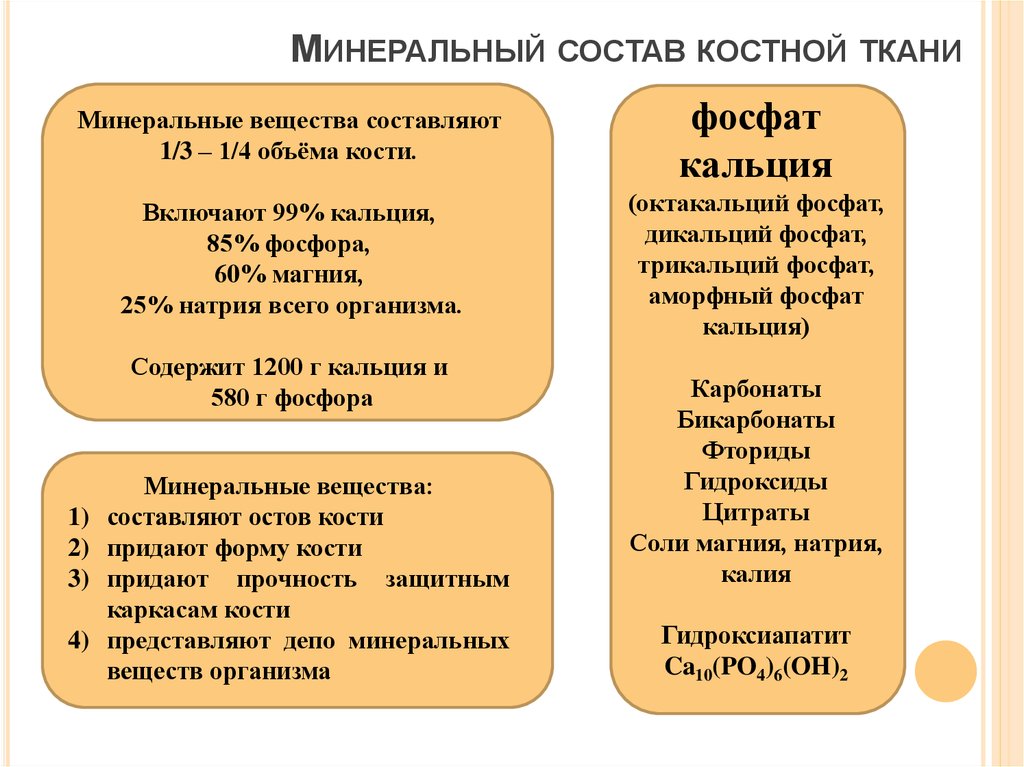 Минеральные компоненты костной ткани