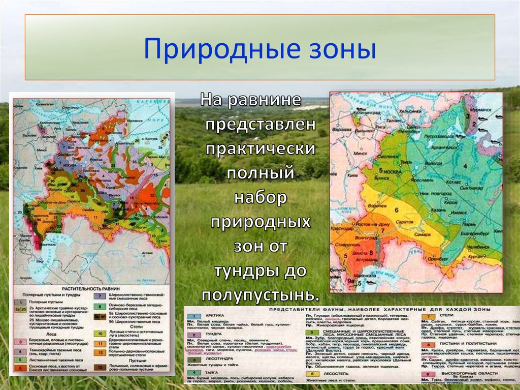 В какой природной зоне находится твой регион. Природные зоны Восточно европейской равнины. Карта климата Восточно европейской равнины. Русская Восточно-европейская равнина географическое положение. Карта природных зон европейской России.