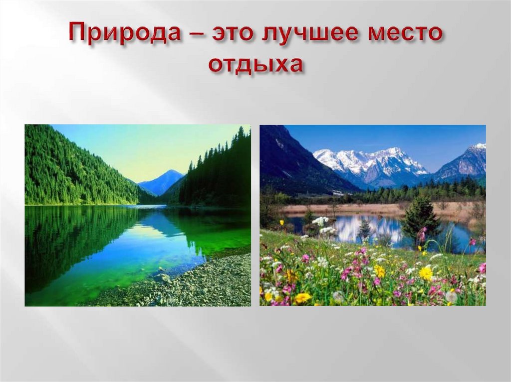 Жива природа презентация. Природа для презентации. Окружающий природный мир. Что такое природа 2 класс. Окружающий природный мир 2 урок.