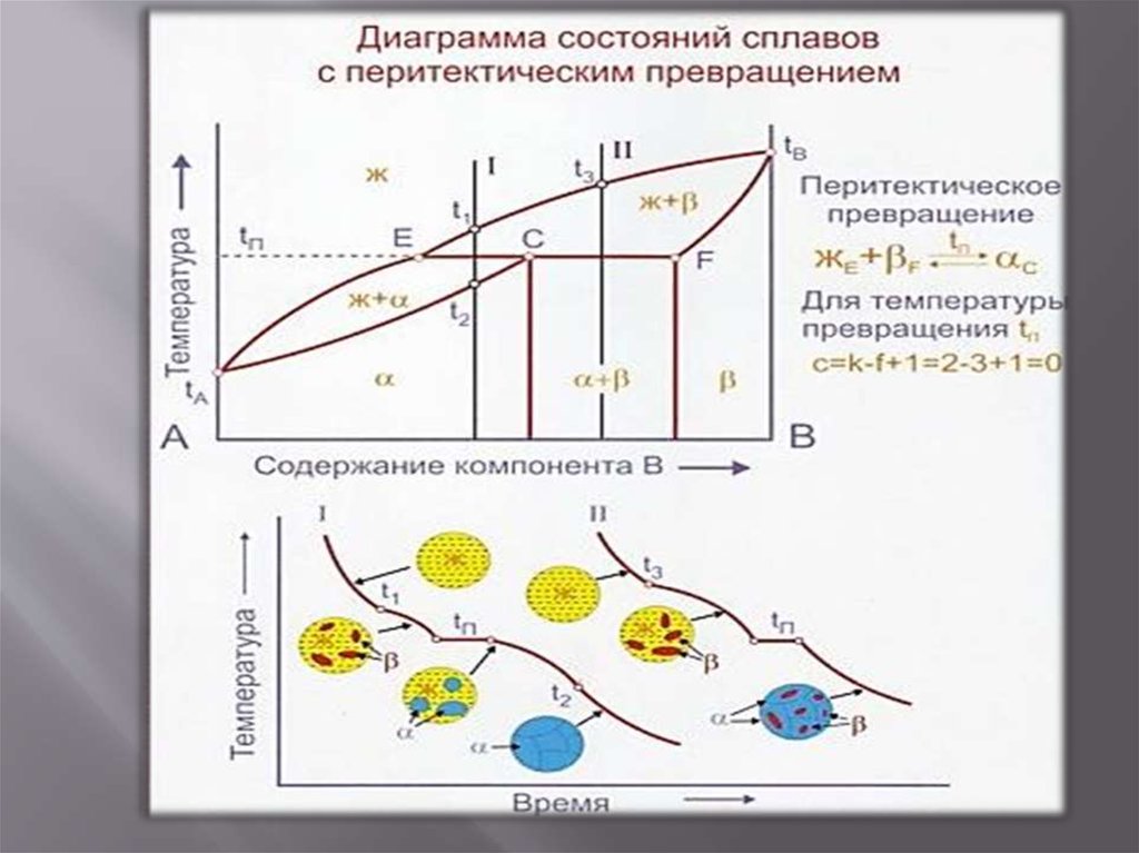 Диаграммы состояния сплавов