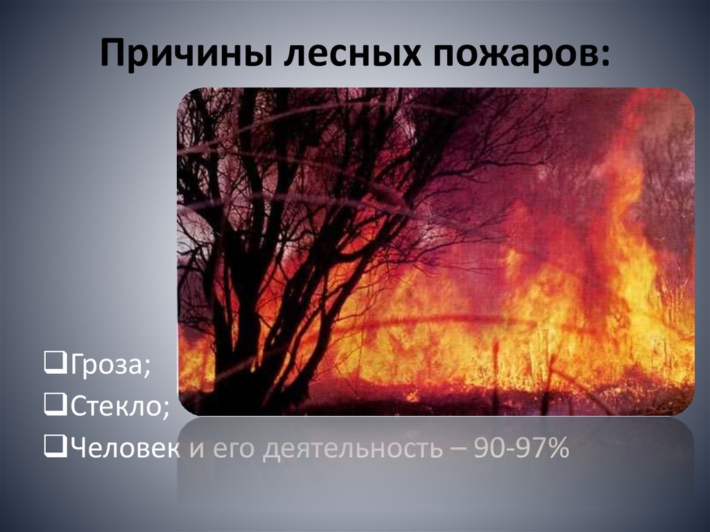 Лесные пожары презентация. Причины лесных пожаров. Лесной пожар по ОБЖ. Пожар для презентации.