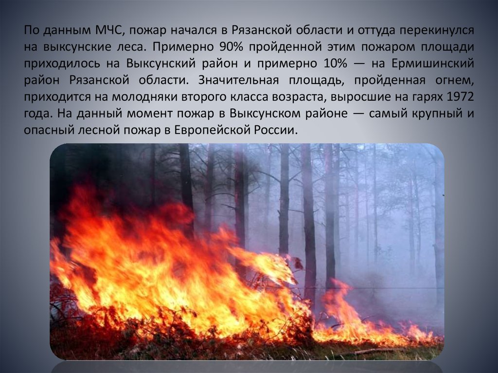 Природный пожар определение. Презентация на тему пожар. Пожар для презентации. Презентация на тему Лесные пожары. Презентация на тему пожар в лесу.