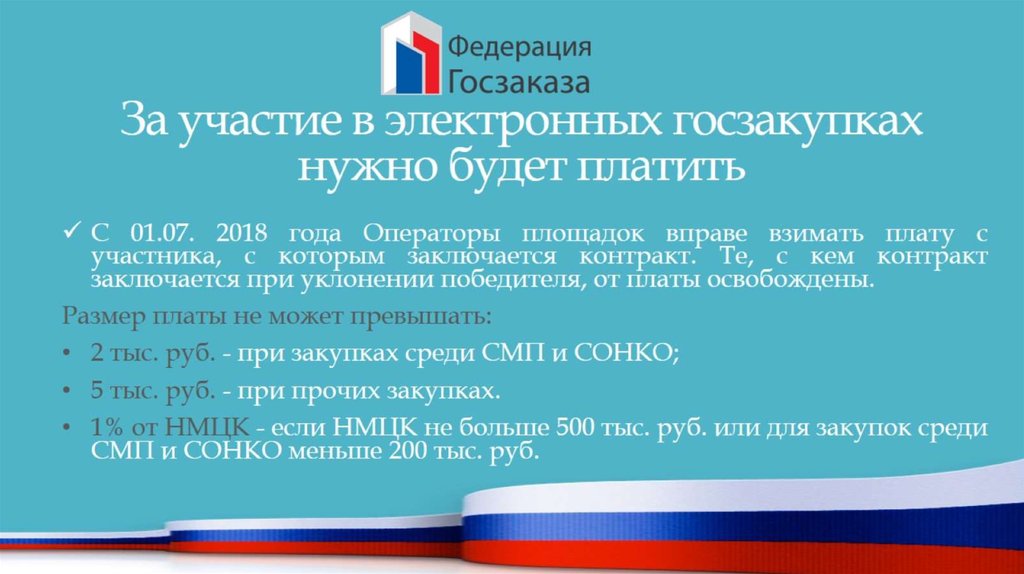 За участие в электронных госзакупках нужно будет платить