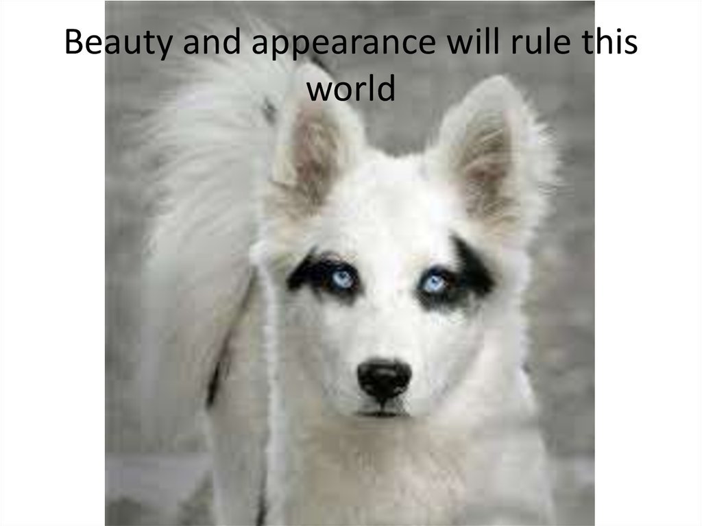 Beauty and appearance will rule this world