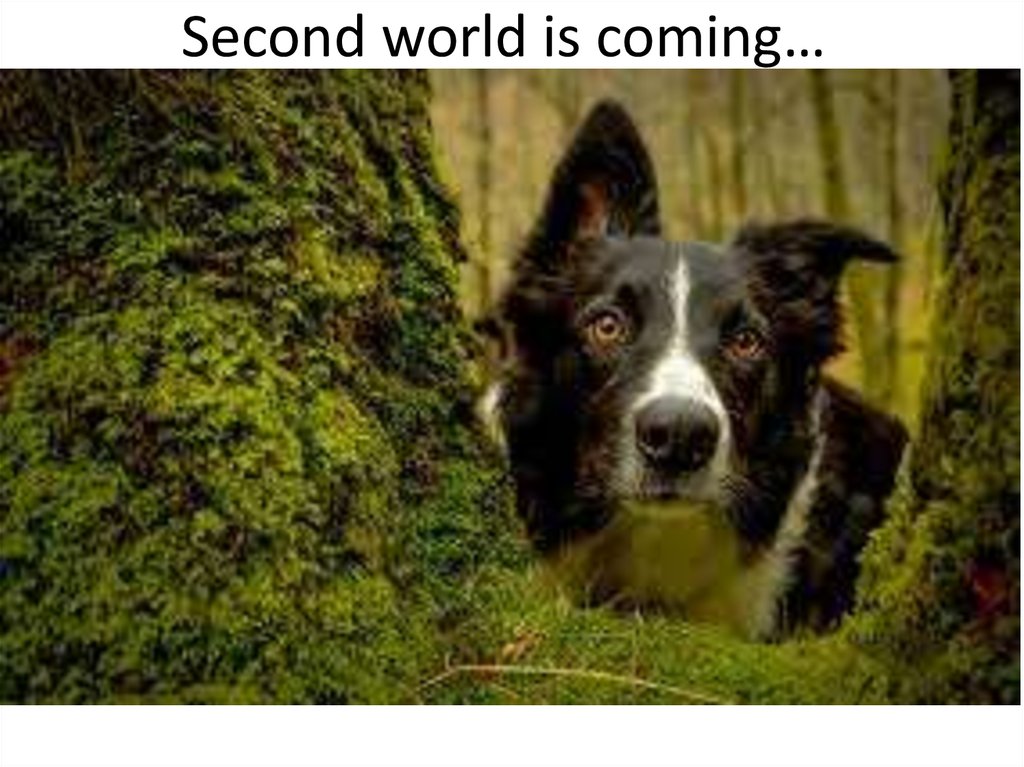 Second world is coming…