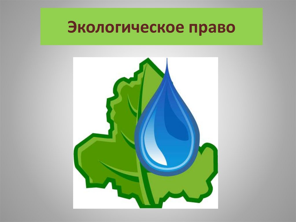 Презентация на тему экологическое право 10 класс