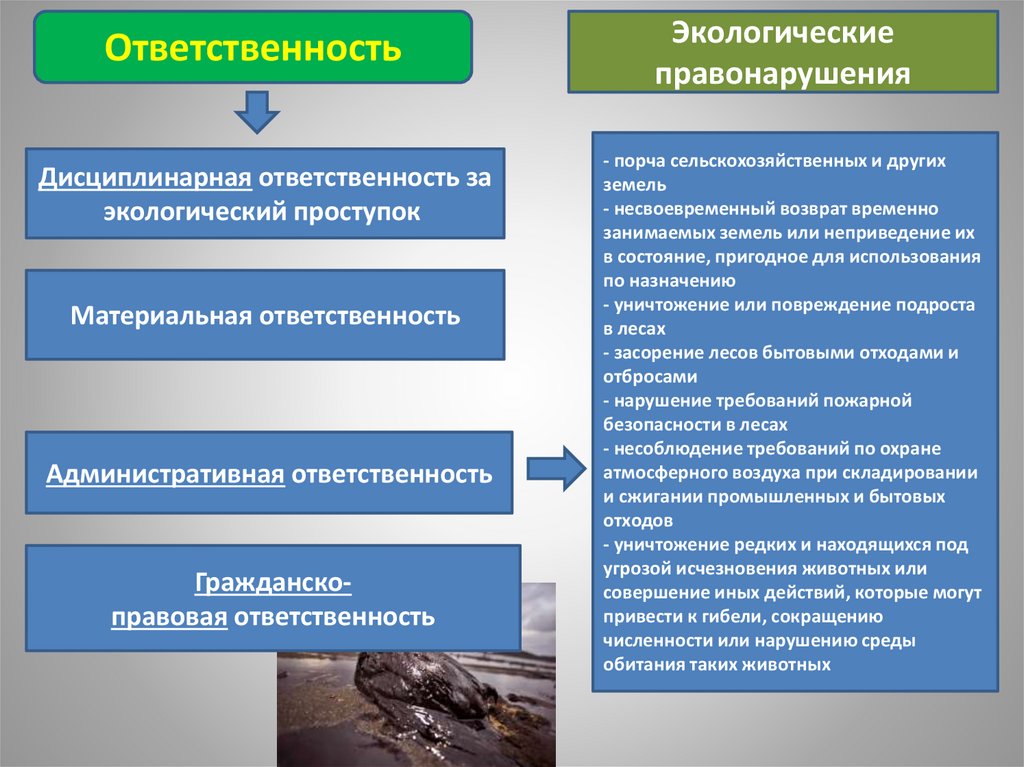 Ответственность