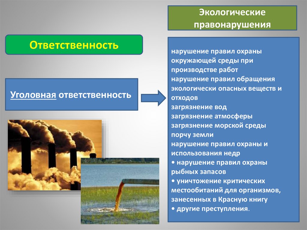 Ответственность