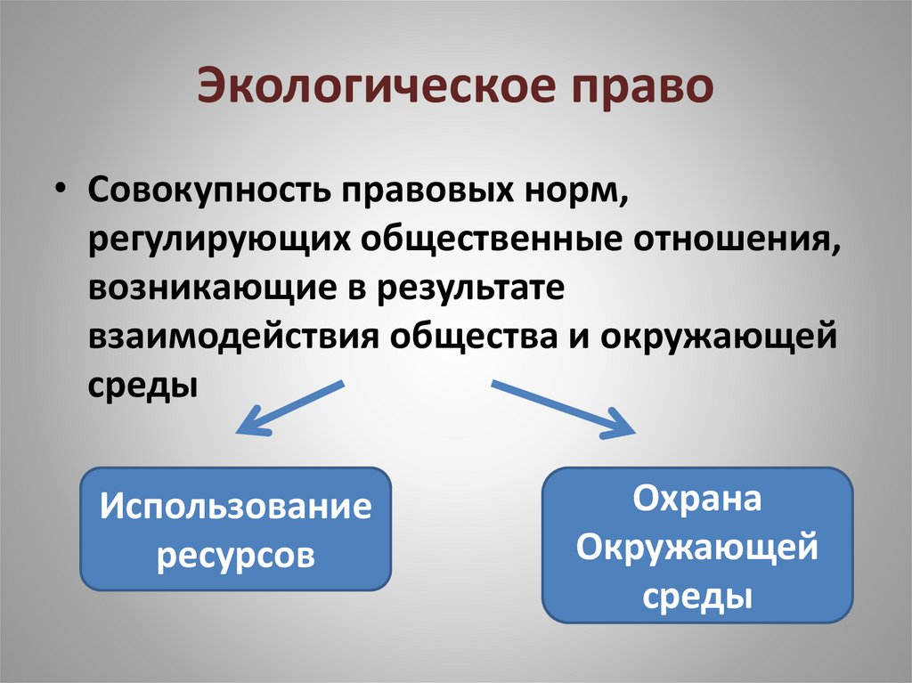 Совокупность правовых норм регулирующих общественные. Экологическое право. Экологическое право презентация. Что регулирует экологическое право. Экологическое право регулирует отношения.