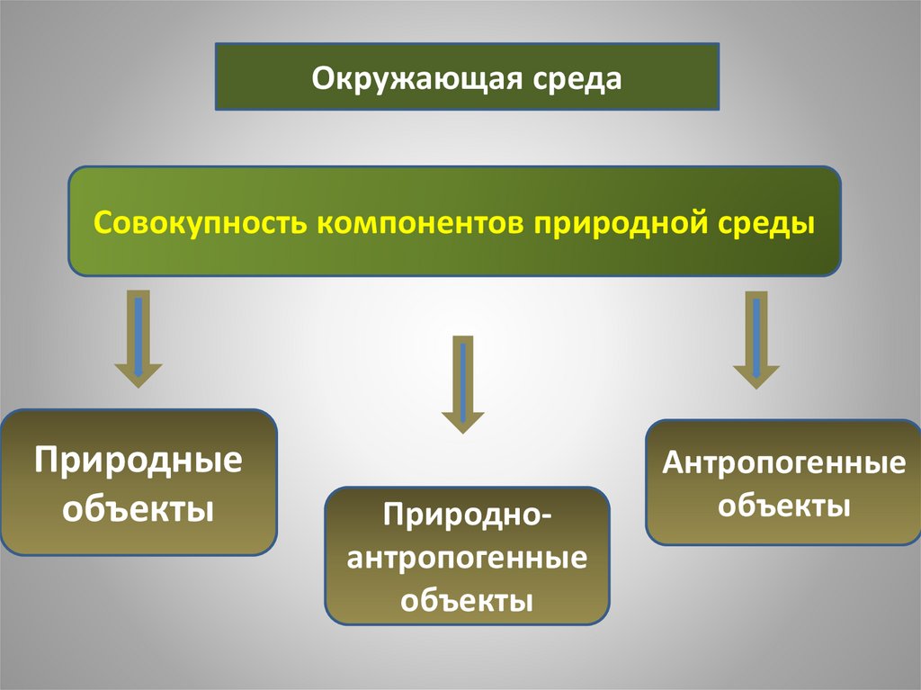 К какому типу антропогенных ландшафтов относятся. Природные и природно-антропогенные объекты. Окружающая среда - совокупность компонентов. Объекты природной среды. Природно-антропогенный объект.