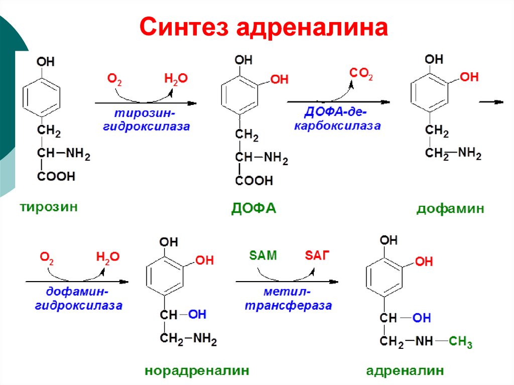 Схема синтез это