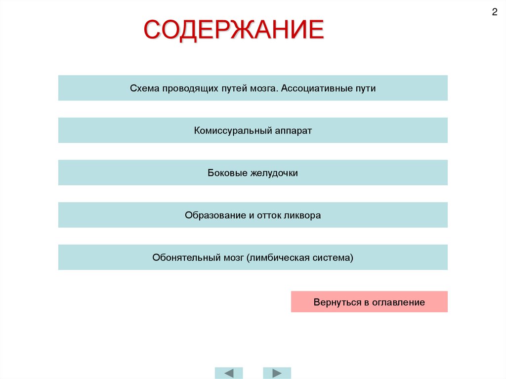 СОДЕРЖАНИЕ