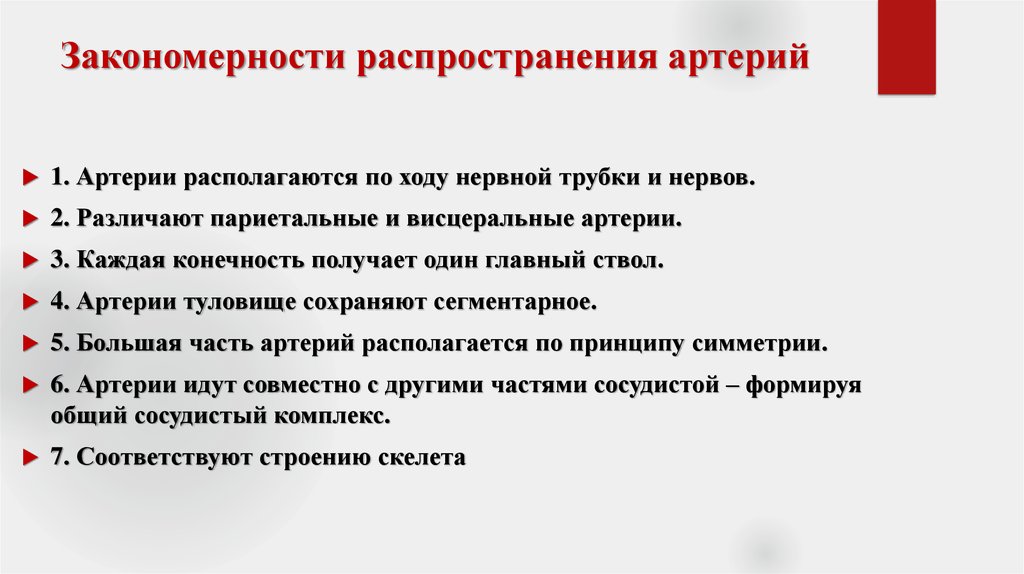 Закономерности строения. Основные закономерности и топографии артерий в теле человека. Закономерности распределения магистральных сосудов. Закономерности распределения артерий в организме. Закономерности распределения артериальных сосудов.