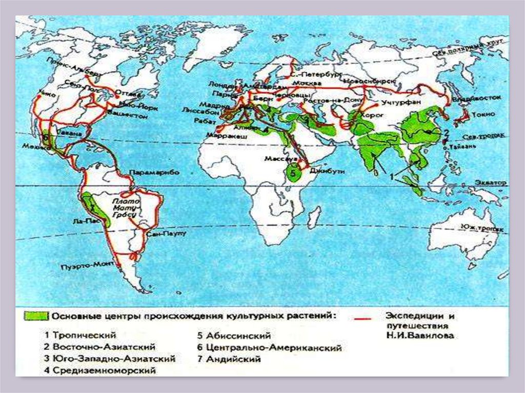 Кто руководил экспедицией которая с 1926 по 1927 в африке собрала 6000 образцов культурных растений