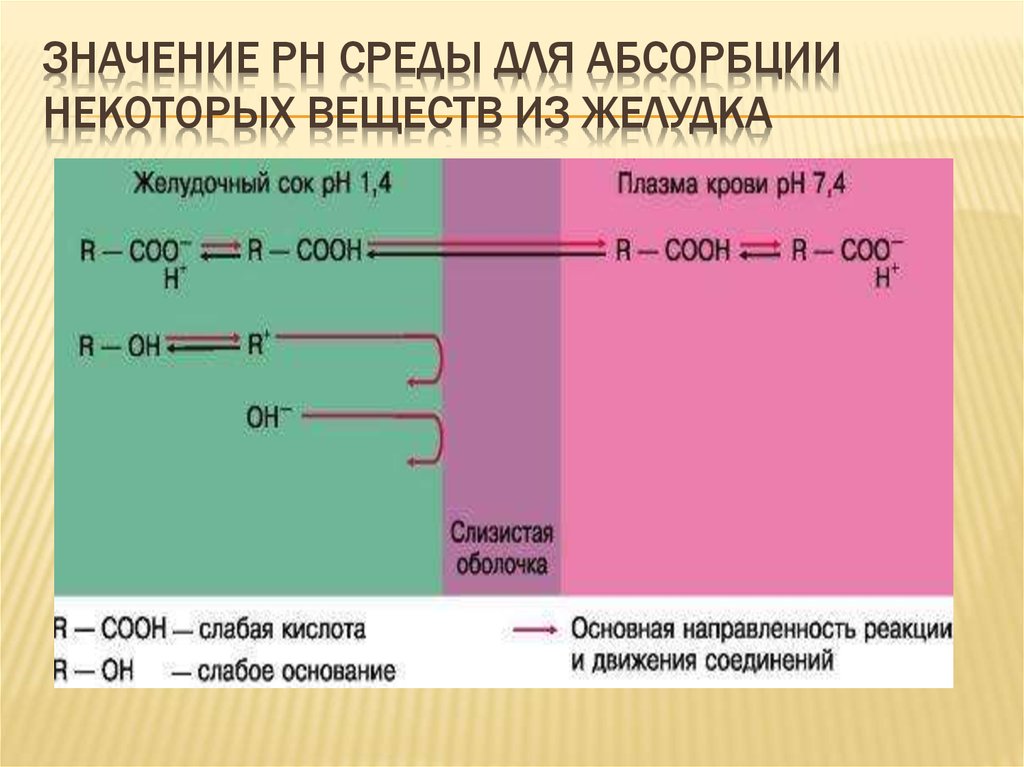 Значение ph среды. Значение PH среды для абсорбции. РН среды желудка. Важность PH для абсорбции лекарств. PH среда в лекарственных препаратах.