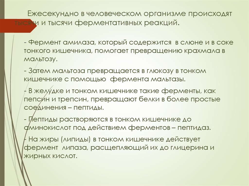 Ежесекундно. В слюне содержатся ферменты. Ошибки в человеческом организме это. В человеческом организме стих. В слюне содержится больше всего ферментов из класса.