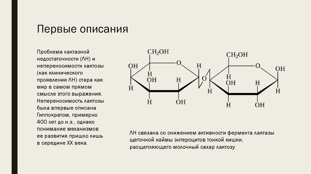 Лактаза расщепляет