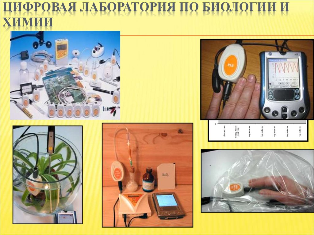 Моя лаборатория биология 8 класс