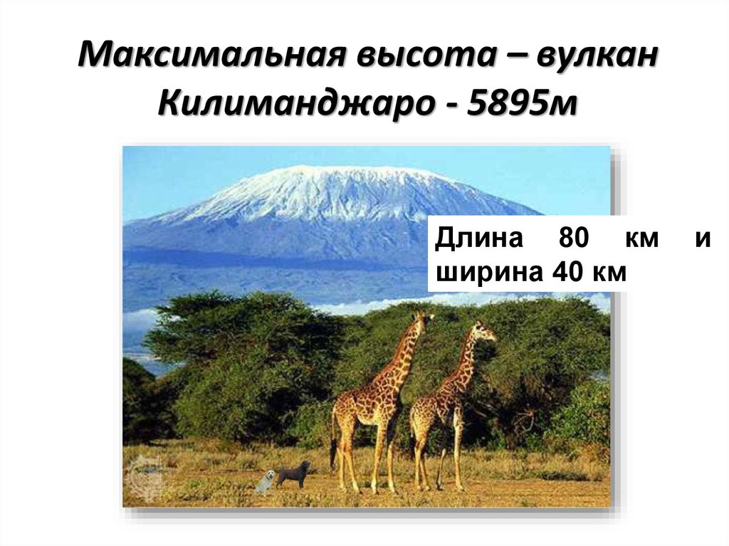 Максимальная высота – вулкан Килиманджаро - 5895м