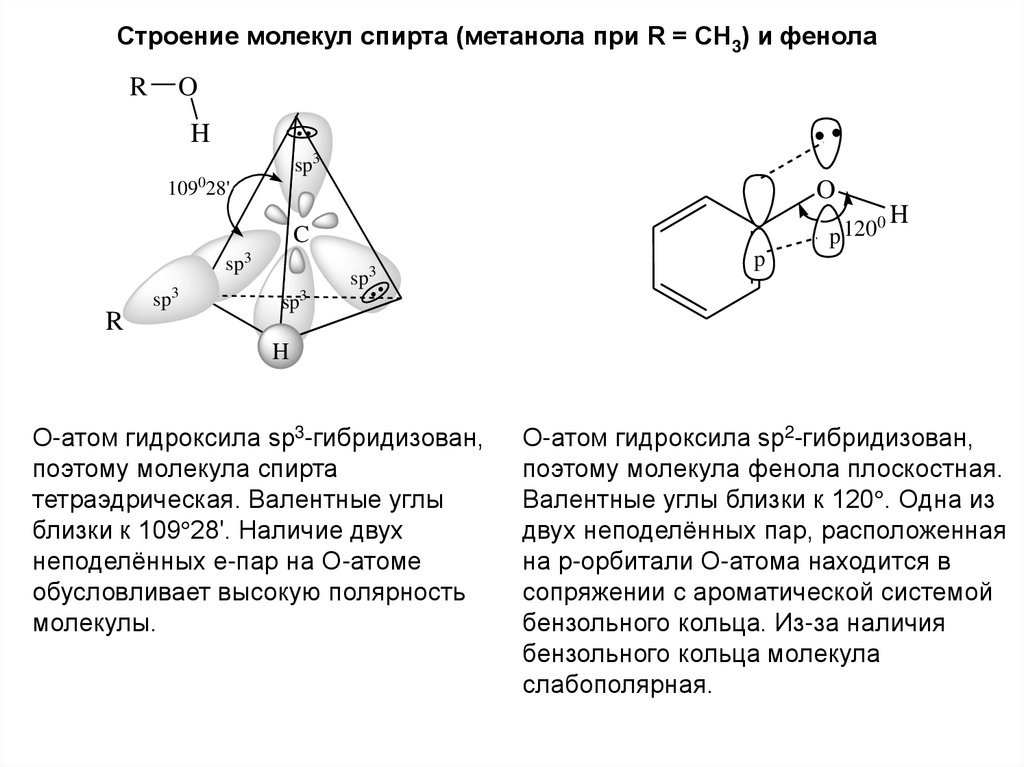 Строение молекулы фенола. Строение молекулы фенола 10 класс. Строение молекулы фенолов. Изобразите электронное строение молекулы фенола.. Строение молекулы фенола кратко.