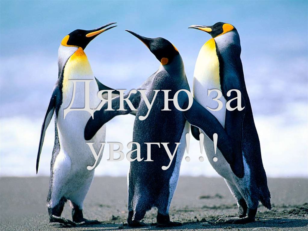 Дякую за увагу!!!