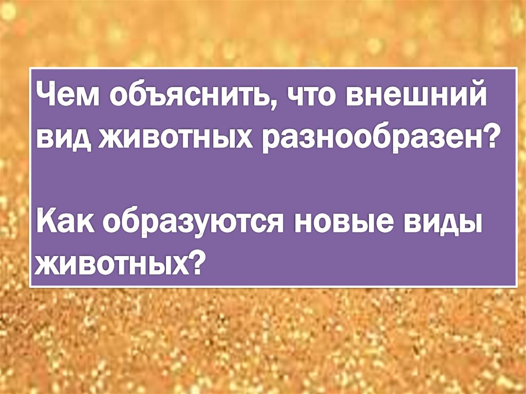 Многообразие видов как результат эволюции презентация