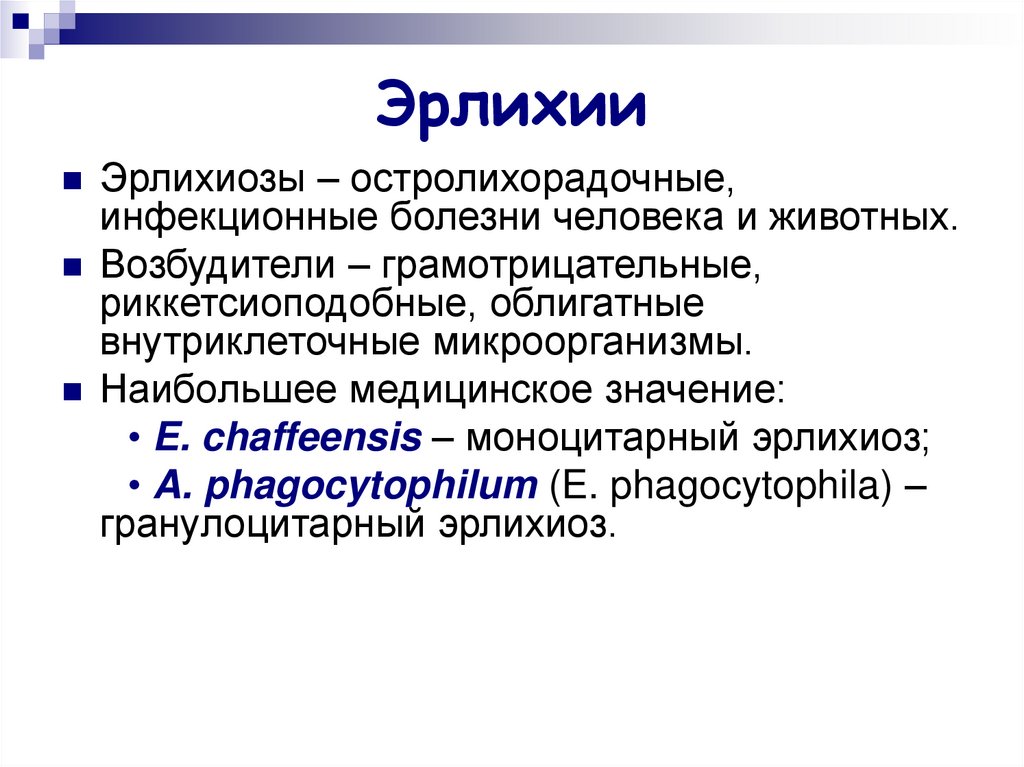 Эрлихиоз презентация инфекционные болезни