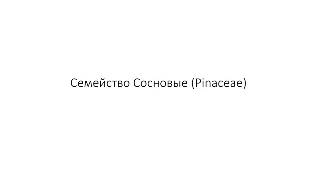 Семейство Сосновые (Pinaceae)