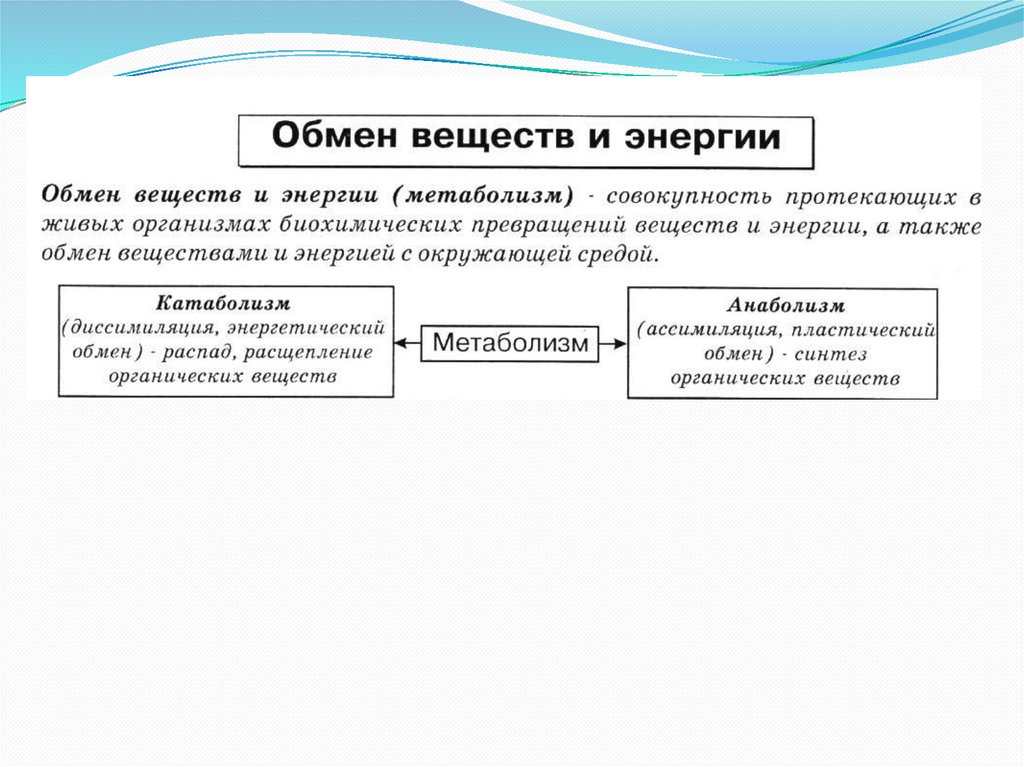 Обмен веществ 10 класс биология презентация