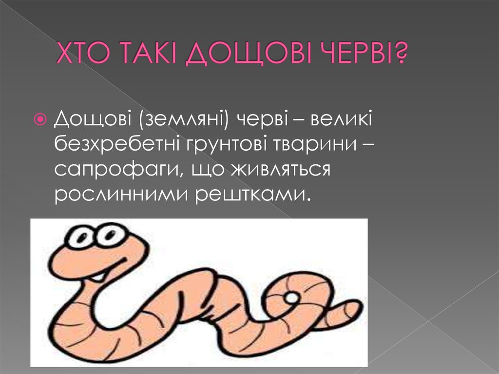 ХТО ТАКI ДОЩОВI ЧЕРВI?