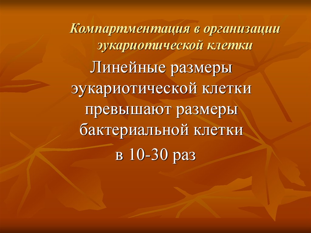 Компартментация ферментов презентация