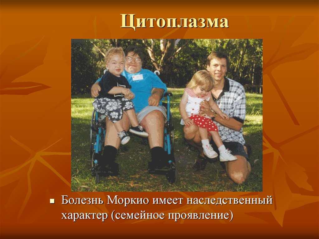 Цитоплазма