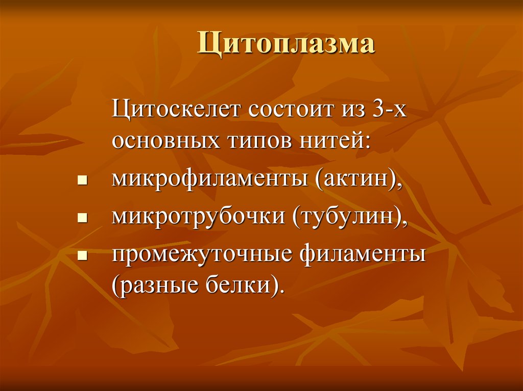 Цитоплазма