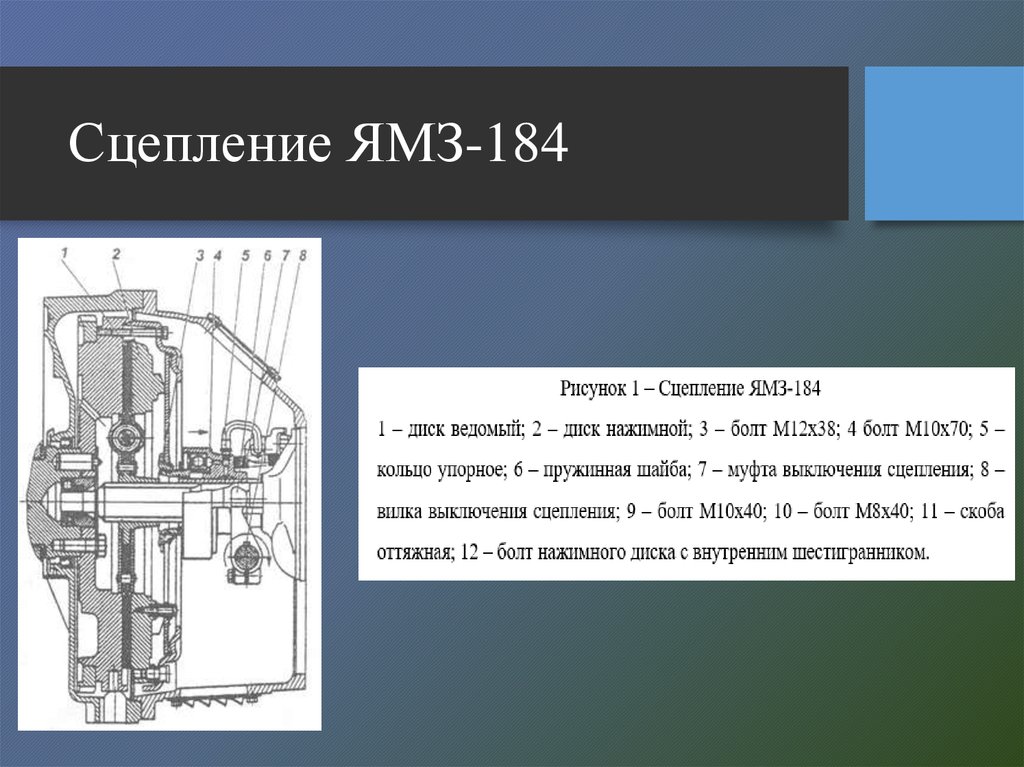 Сцепление маз однодисковое схема