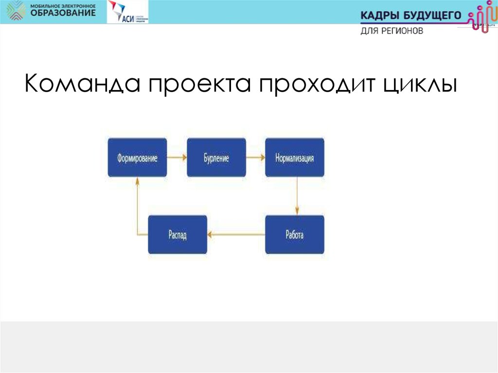 Цифровая модель данных. Модель цифровой команды. В состав модели «цифровой класс» входят:. Минимальные Размеры файлоизображения цифровой модели тим.