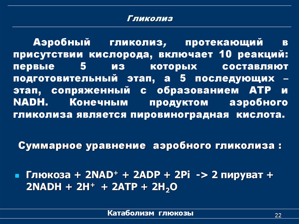 Продукты аэробного гликолиза. Аэробный гликолиз функции. Этапы аэробного гликолиза.