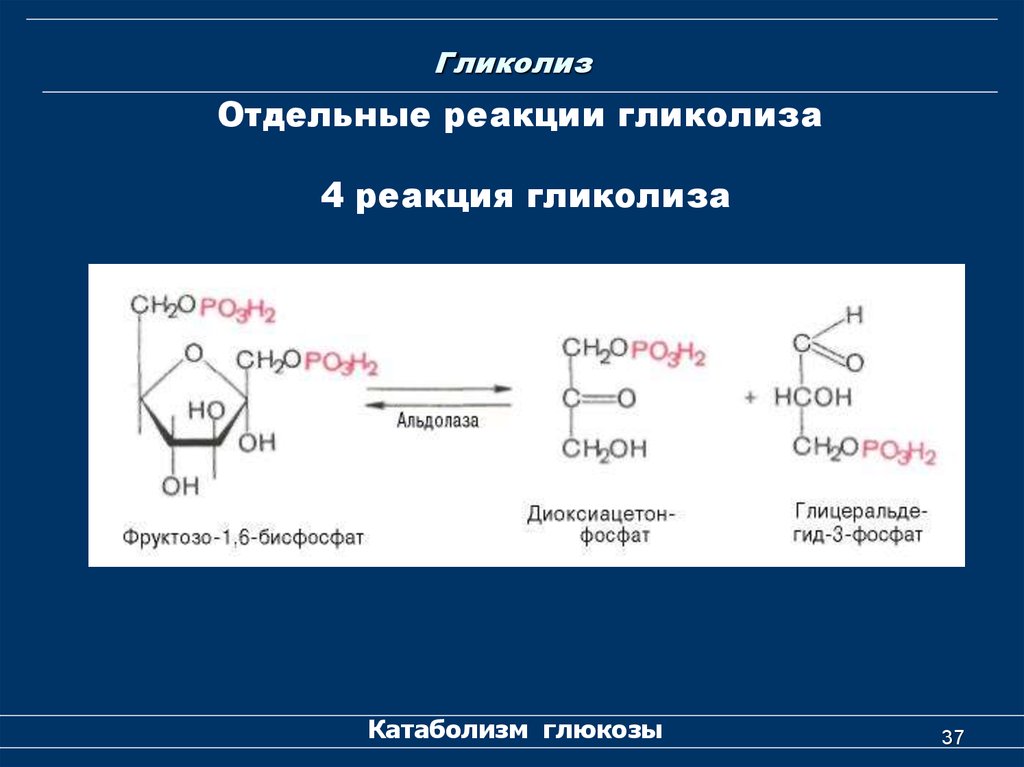 Гликолиз это. Схема гликолиза биохимия. Гликолиз схема с формулами. Анаэробный гликолиз формула. Гликолиз структурные формулы.