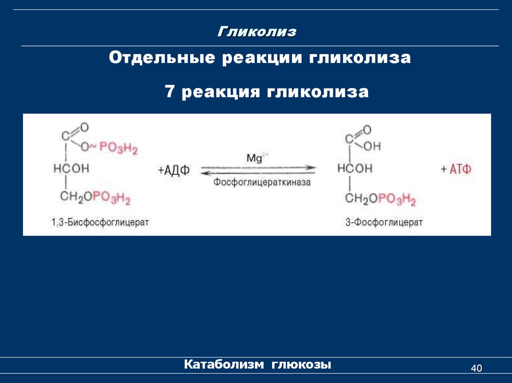 Реакция окисления гликолиза. 11 Реакция анаэробного гликолиза. Реакции гликолиза с образованием АТФ. Гликолиз реакции с АТФ. Необратимые реакции гликолиза биохимия.