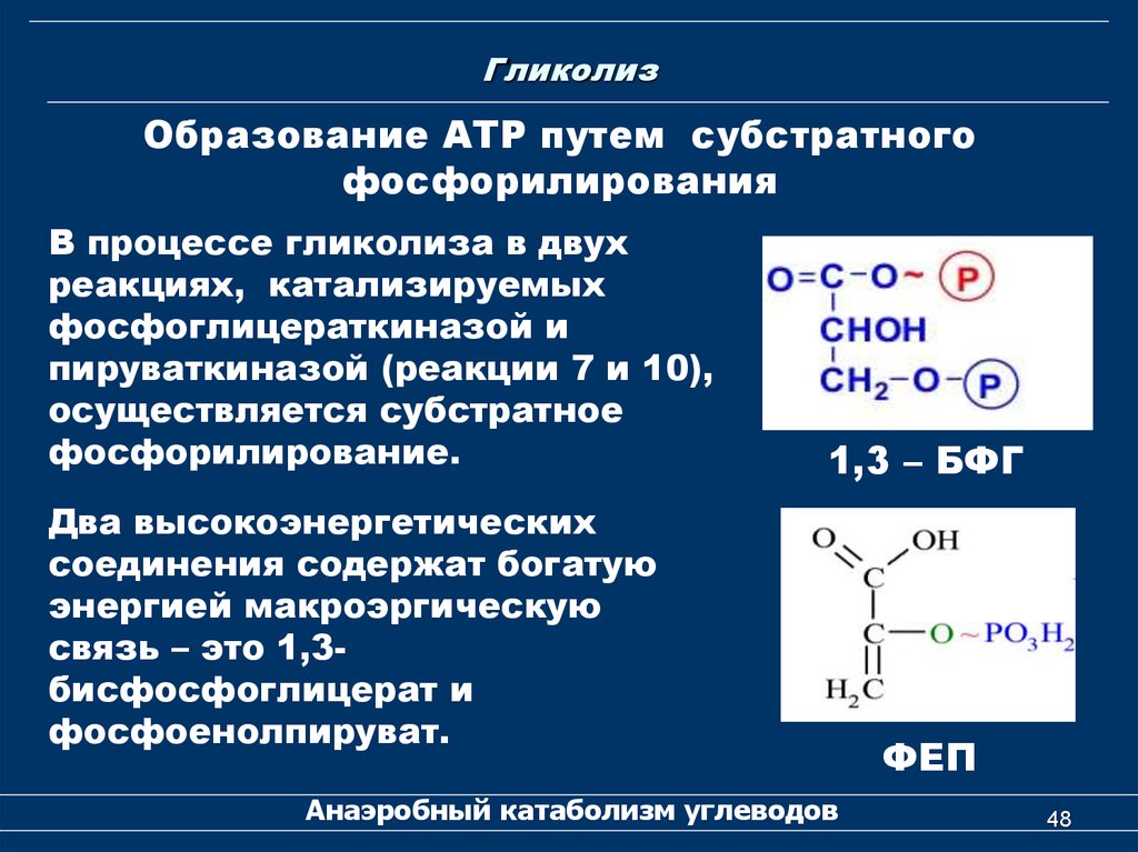 Каким образом образуется. Реакции субстратного фосфорилирования в гликолизе. 1 Реакция субстратного фосфорилирования гликолиз. Реакции субстратного фосфорилирования гликолиза ферменты. Две реакции субстратного фосфорилирования в гликолизе.