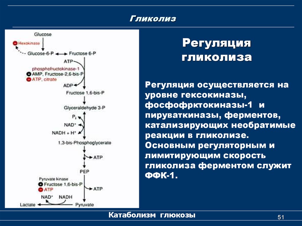 Схема реакций гликолиза