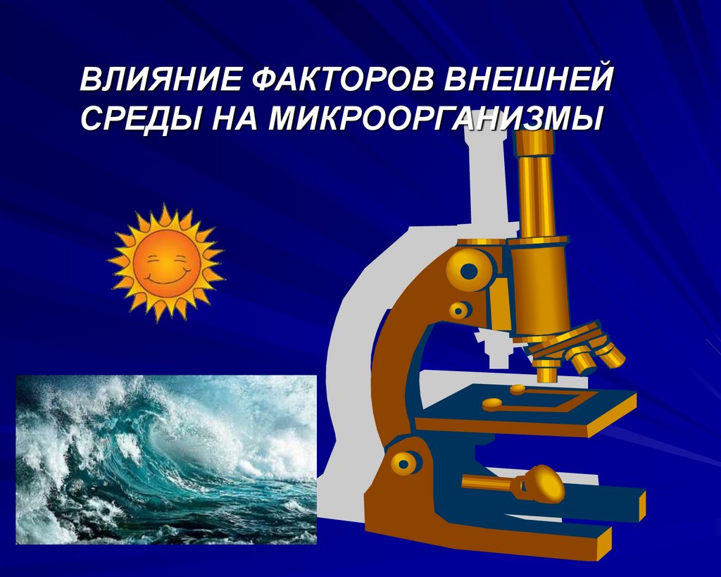 Влияние факторов внешней среды. Влияние факторов внешней среды на микроорганизмы. Влияние факторов внешней среды на бактерий. Влияние влажности на микроорганизмы. Факторы внешней среды на микроорганизмы.