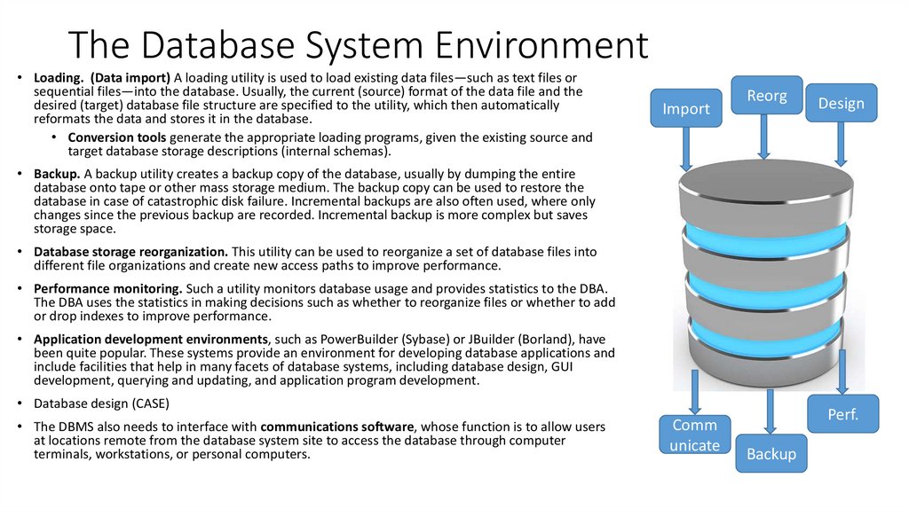 The Database System Environment