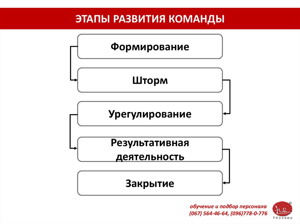 Этапы развития команды